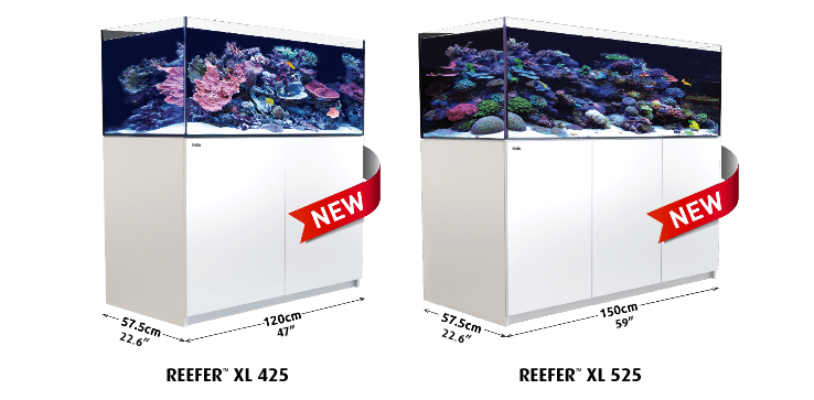 reef Red Sea Reefer XL425 White/Black – AquaForest Aquarium Studio