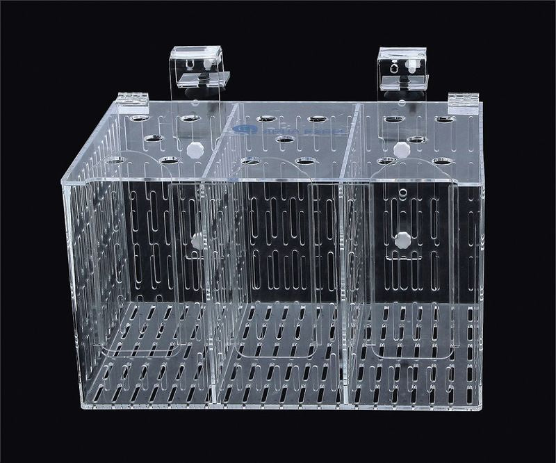 acclimation box for fish Acclimation Box/ Breeding Box – AquaForest Aquarium Studio