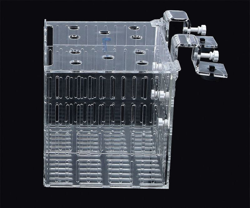 White Aquarium Acclimation Box - Clear Breeder Quarantine Container For Fish, Shrimp, Coral Aquarium Ships White Aquarium Acclimation Box - Clear Breeder Quarantine Container For Fish, Shrimp, Coral Aquarium Ships