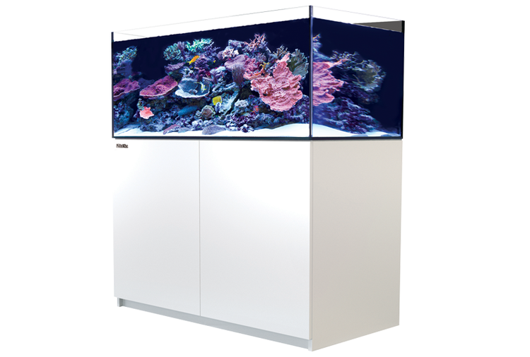 reef Red Sea Reefer XL425 White/Black – AquaForest Aquarium Studio