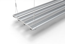 MultiSilver