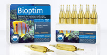 PRODIBIO Bioptim