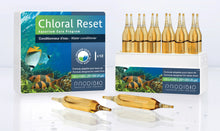 PRODIBIO Chloral Reset
