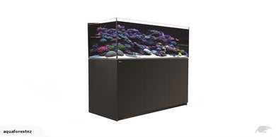 Aquaforest Aquarium Studio – AquaForest Aquarium Studio