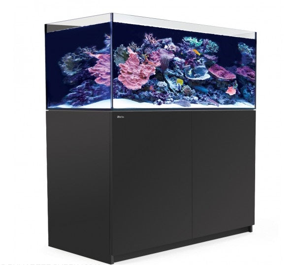 Red Sea Reefer XL425 White/Black – AquaForest Aquarium Studio