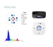 AI Prime 16 HD Black