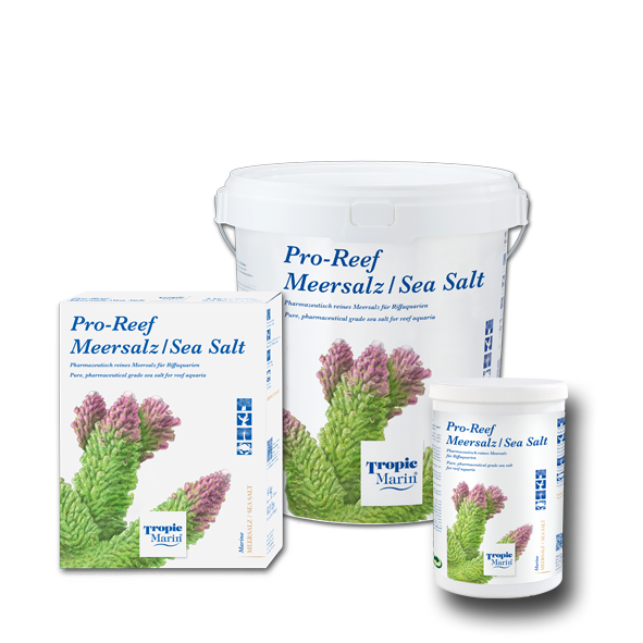 Pro-Reef Sea Salt – AquaForest Aquarium Studio