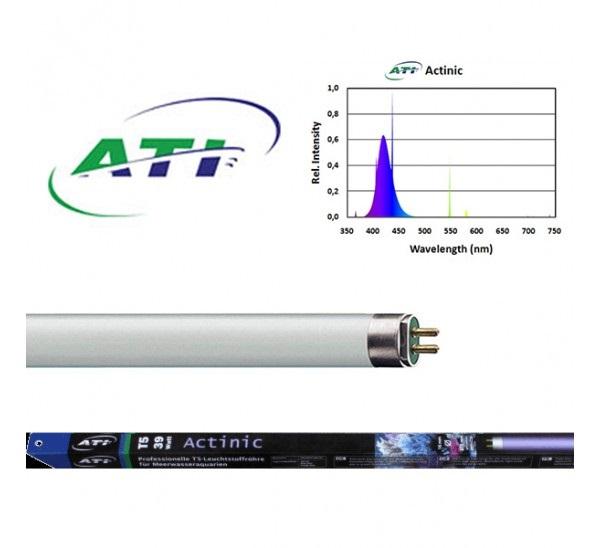 T5 - ACTINIC