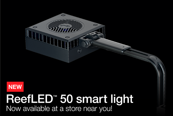 Red Sea ReefLed Mount Arm – AquaForest Aquarium Studio